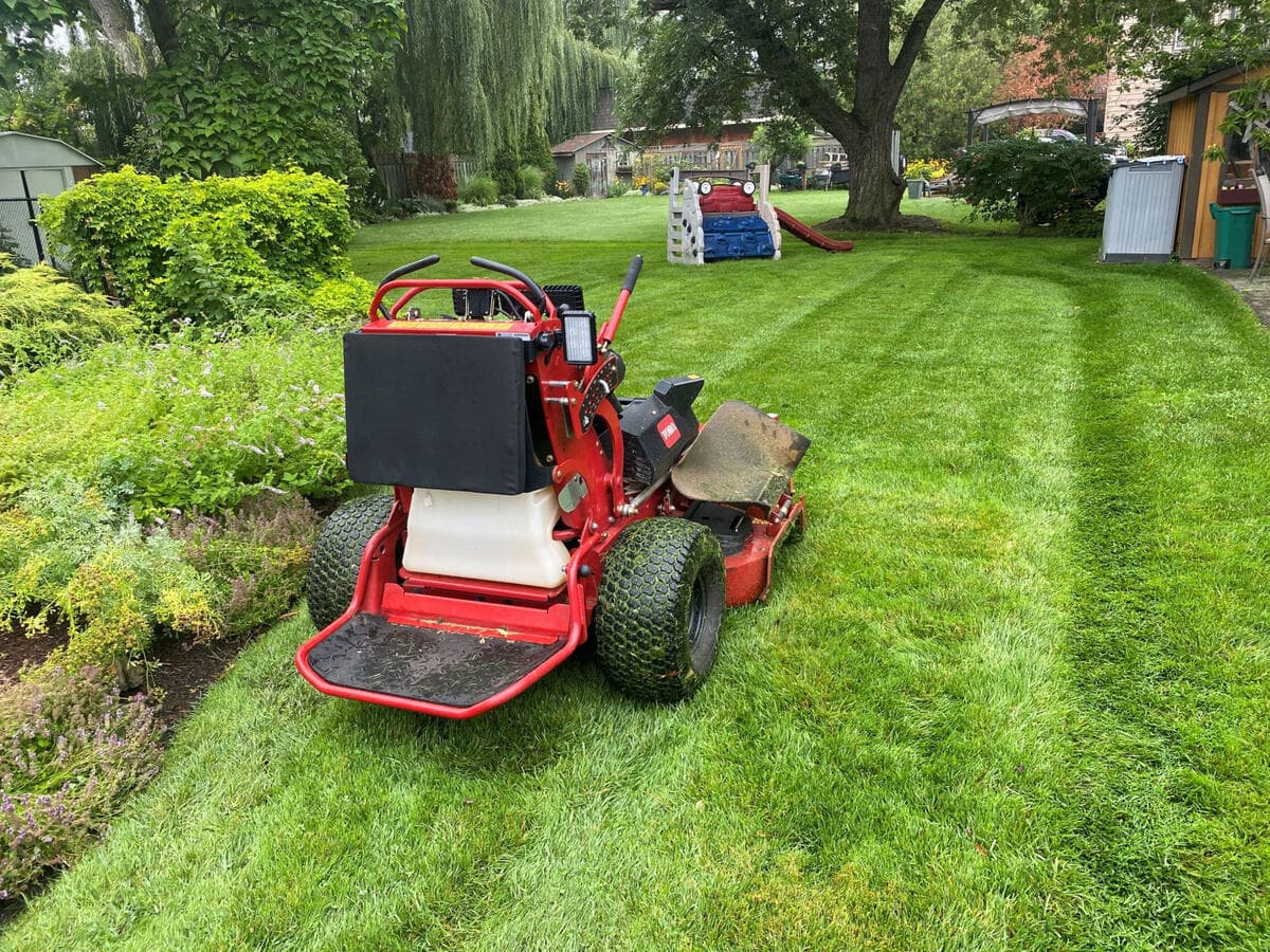 Lawn and landscape before seasonal maintenance