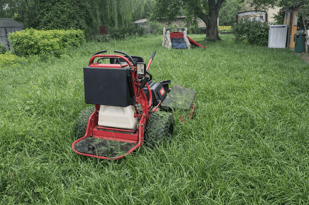 Lawn and landscape after professional care