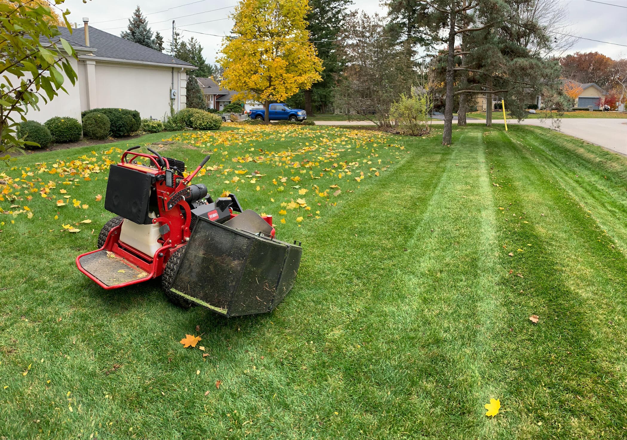 Landscape and property enhancement work