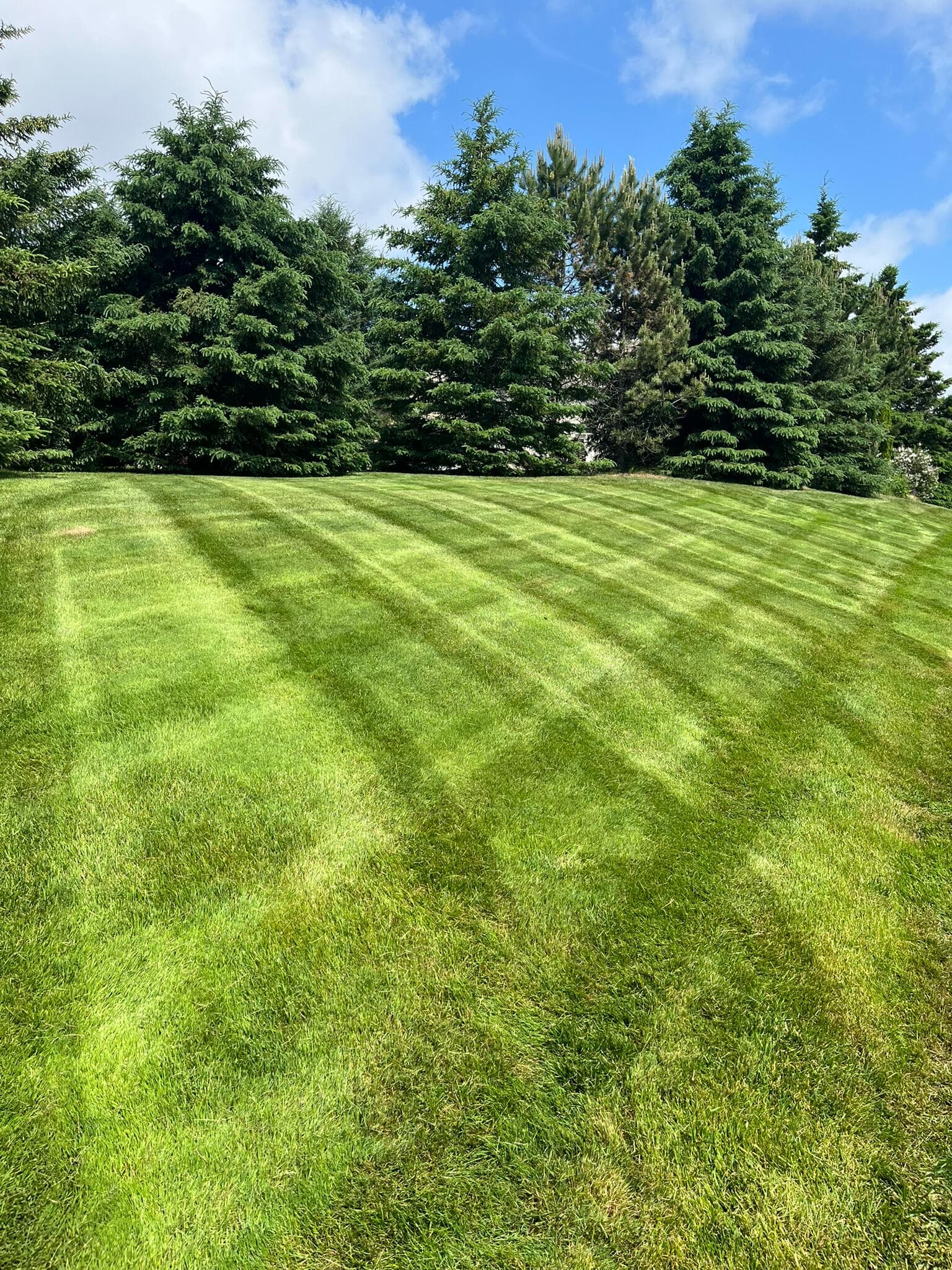 Turfgrass management and healthy lawn programs